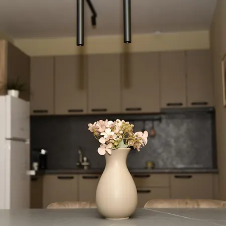 Apartamento инфинити *